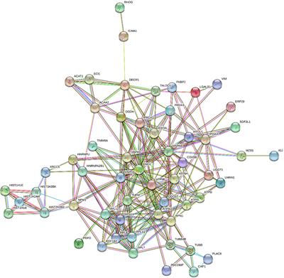 Tumor Microenvironment Proteomics: Lessons From Multiple Myeloma